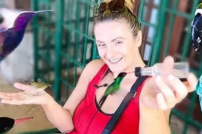 Private Transport and Airport Transfer in Montego Bay - A Practical Look at Flexibility: Photos and Souvenirs Without the Hassle