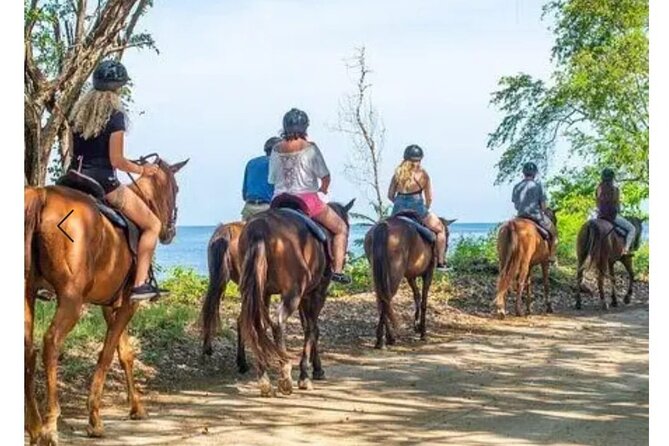 Private Transport and Airport Transfer in Montego Bay - The Ride Itself: Short Duration, Real Comfort