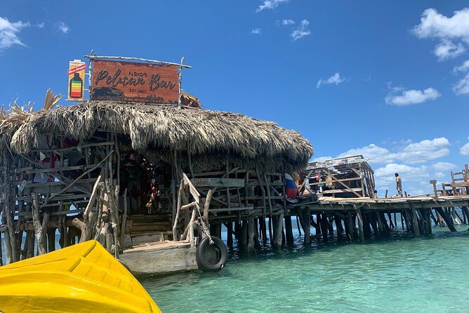 Private Transportation from Montego Bay to Appleton Estate & Pelican Bar - Joy Spence Appleton Estate Rum Experience: What You’ll Learn and Sample