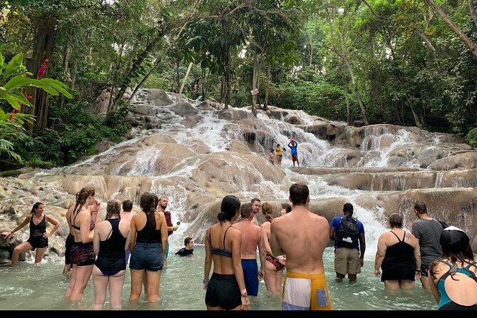 Private Transportation from Montego Bay to Mystic Mountain and Dunn's River Fall - Key Highlights at a Glance