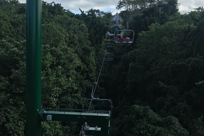 Private Transportation from Montego Bay to Mystic Mountain and Dunn's River Fall - Your Driver: The Difference Between a Ride and a Real Day