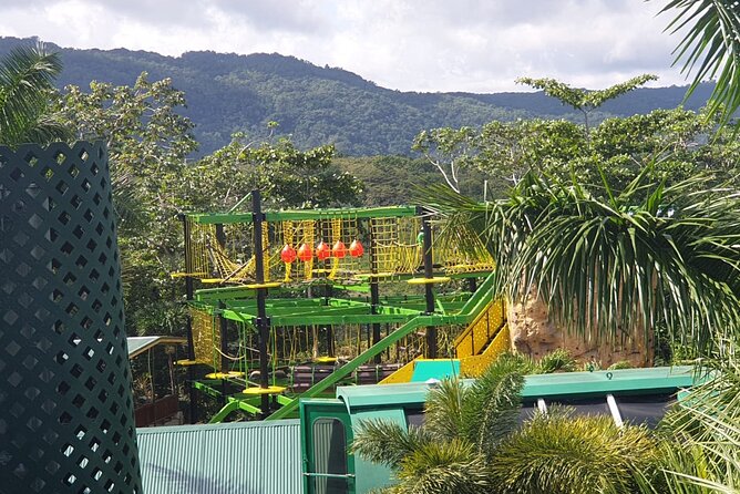 Private Transportation from Montego Bay to Mystic Mountain and Dunn's River Fall - Montego Bay Pickup to Mystic Mountain: A Quick Start with Big Energy