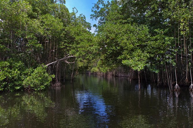 [PRIVATE] YS Falls, Black River, Pelican Bar - Entrance & Lunch - Floyd’s Pelican Bar: sandbank views and the driftwood vibe