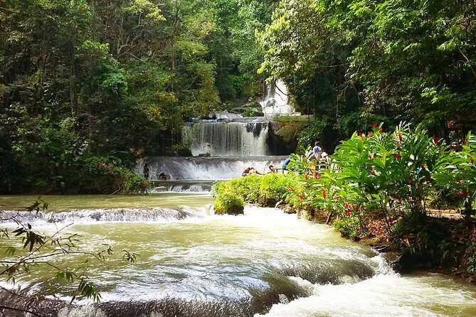 [PRIVATE] YS Falls, Black River, Pelican Bar - Entrance & Lunch - Who this tour is best for (and who should think twice)