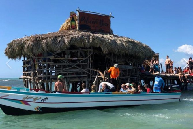 [PRIVATE] YS Falls, Black River, Pelican Bar - Entrance & Lunch - YS Falls: jitney rides, a 120-foot cascade, and swim time