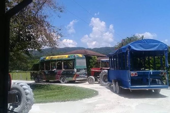 Private YS Falls Tour from Montego Bay - Who This Tour Fits Best