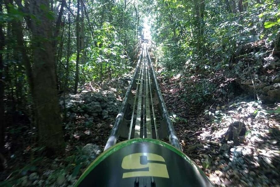 Rainforest Bobsled Mystic Mountain transportation - Off-road adventure and rainforest views along the way