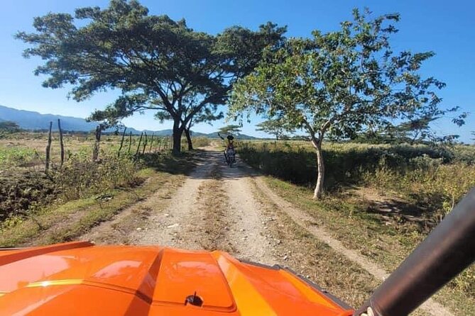 Rasta Safari Atv Experience and Rick's Cafe Private Tour - Rick’s Cafe for divers, reggae, and sunset timing