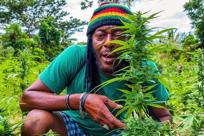 Rastafari Cultural ATV Community Experience from Montego Bay - Key Things That Make RastaSafari Different