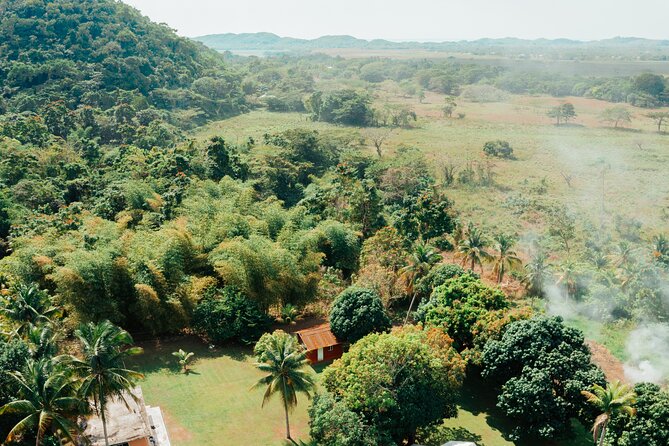 Rastafari Cultural ATV Community Experience from Montego Bay - The Roaring River swim stop: natural mineral water and real breaks