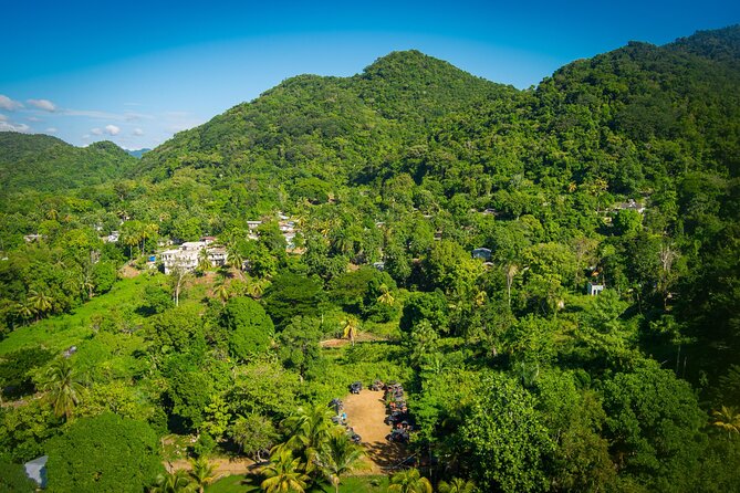 Rastafari Cultural ATV Community Experience from Montego Bay - Ganja field discovery and fruit tasting: culture through plants