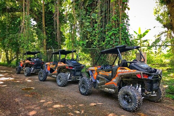 Rastafari Cultural ATV Community Experience from Negril - Key highlights at a glance