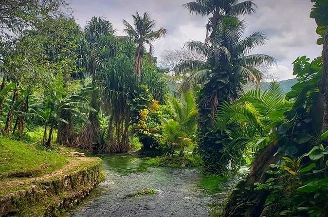 Rastafari Cultural ATV Community Experience from Negril - Who This Tour Fits Best (And Who Might Want Something Different)