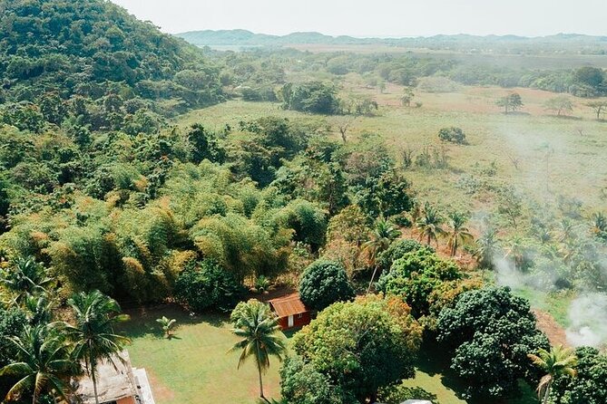 Rastafari Cultural ATV Community Experience from Negril - ATV Setup and the Village Run, From Fruit Trees to Rough Ground