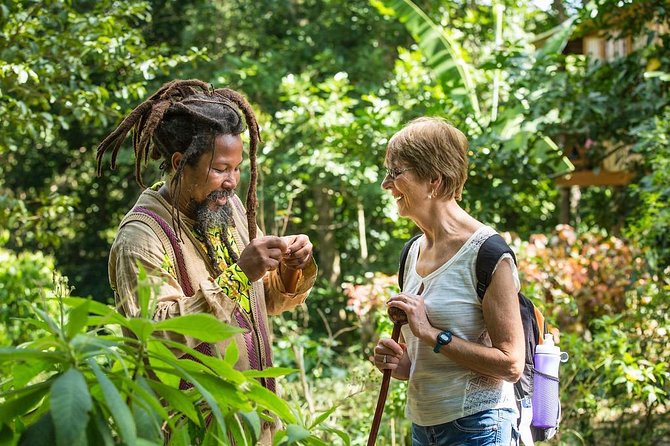 Rastafari Indigenous Village Tour - Hotel Pickup and Air-Conditioned Comfort That Actually Helps