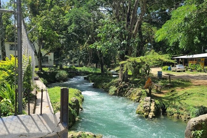 Rastasafari Experience ATV Adventure and Local Day Out - Price and value: Is $320 per person a smart spend?