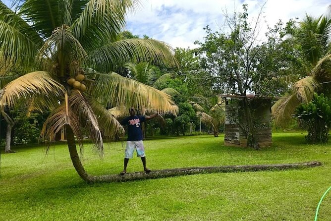 Rastasafari Experience ATV Adventure and Local Day Out - Medicinal herbs and Rastafarian culture: what you learn and why it matters