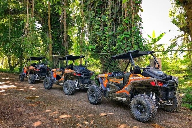 Rastasafari Experience ATV Adventure and Local Day Out - RastaSafari welcome: the Rastafari village visit and how introductions work