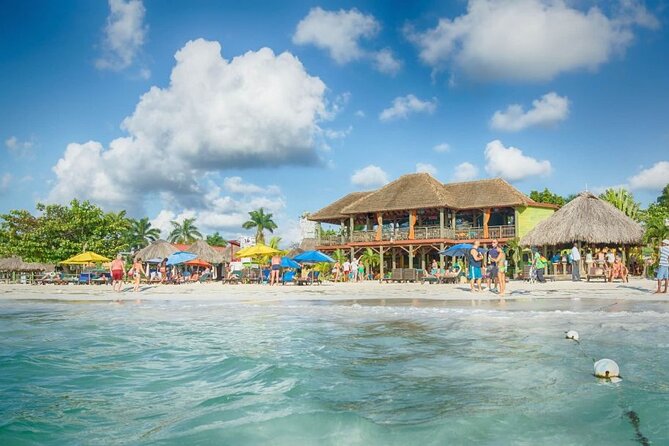 Rick s Café and Seven Mile Beach Private Tour Negril Jamaica - Private Transportation: The Comfort You Feel Without Thinking About It