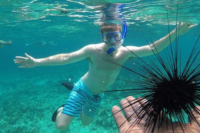 Rick's Cafe Sunset Cruise and Snorkelling - Key highlights at a glance