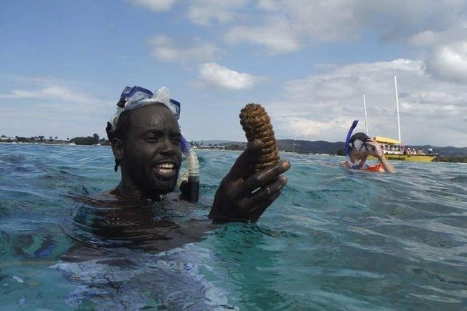 Rick's Cafe Sunset Cruise and Snorkelling - Price and value: what $90 buys you in real terms