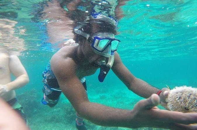 Rick's Cafe Sunset Cruise and Snorkelling - When this cruise makes the most sense for you