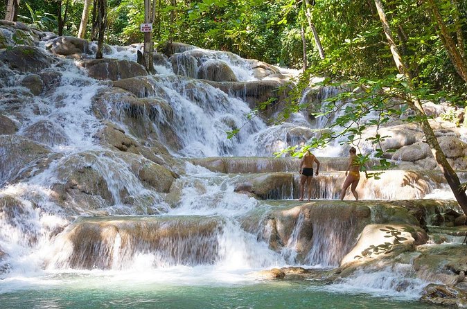 Rio Nuevo Bamboo River Rafting & Dunn's River Falls - Price and Value: What $199 Covers (and Why That Adds Up)