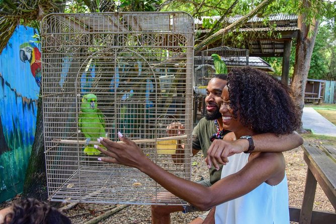 Rockland Bird Sanctuary plus Montego Bay Highlights & Shopping Private Tour - Key things to know before you go