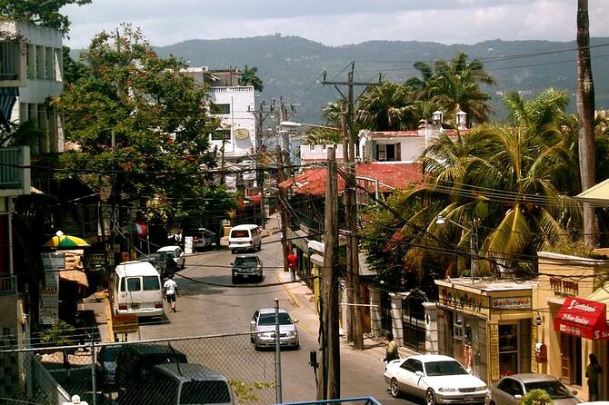 Rockland Bird Sanctuary plus Montego Bay Highlights & Shopping Private Tour - Montego Bay highlights plus shopping that fits real schedules