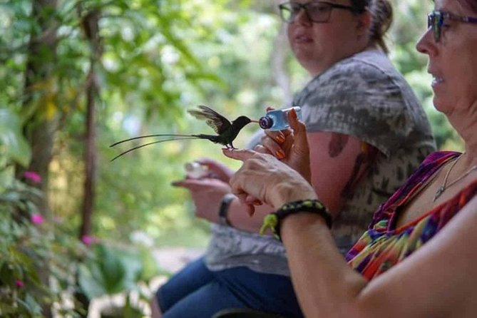 Rockland Bird Sanctuary Private Tour - The private transfer: getting to the anchovy area without fuss