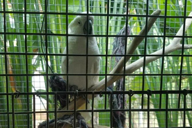 Rockland Bird Sanctuary Private Tour - The hummingbird highlight, plus what else you might see