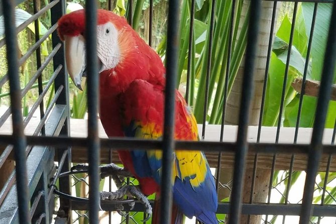 Rockland Bird Sanctuary Private Tour - What to pack and how to time your day for the best bird action