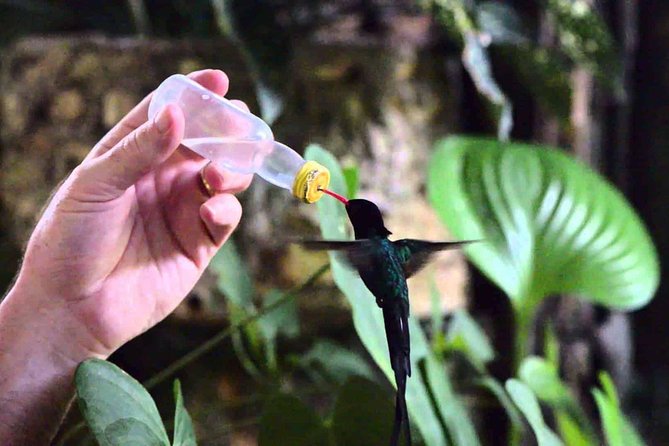 Rockland Bird Sanctuary Private Tour - Who this private bird tour is best for, and who it may not fit
