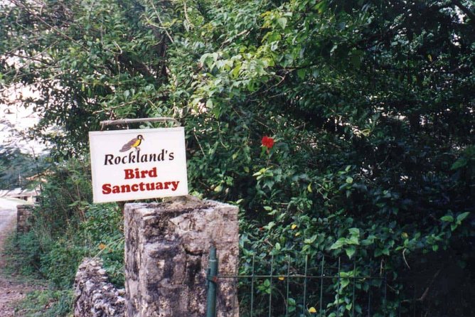 Rockland Bird Sanctuary Private Tour - Inside the sanctuary: sugar water, finger-feeding, and what the timing means