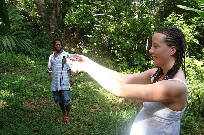 Rockland Bird Sanctuary Tour [Transportation] Hotel Pick-Up - Birds you may spot, and why Caribbean species matter