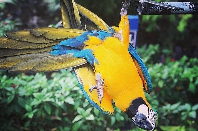 Rockland Bird Sanctuary Tour [Transportation] Hotel Pick-Up - Transportation details that affect your comfort