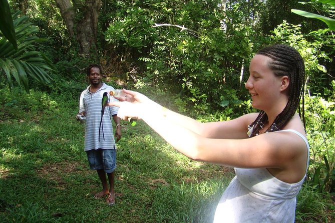 Rockland Bird Sanctuary Tour [Transportation] Hotel Pick-Up - Group feel: private tour for your group