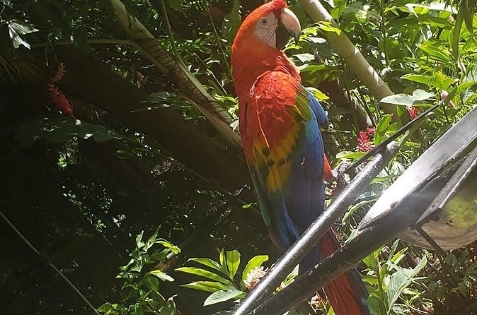 Rockland Bird Sanctuary Tour [Transportation] Hotel Pick-Up - Weather matters more than you think