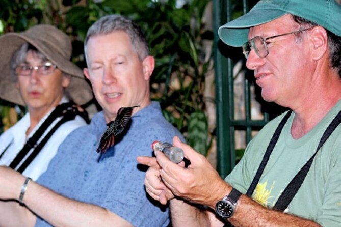 Rocklands Bird Sanctuary and Montego Bay Highlights Tour from Falmouth - Key Things That Make This Tour Worth It