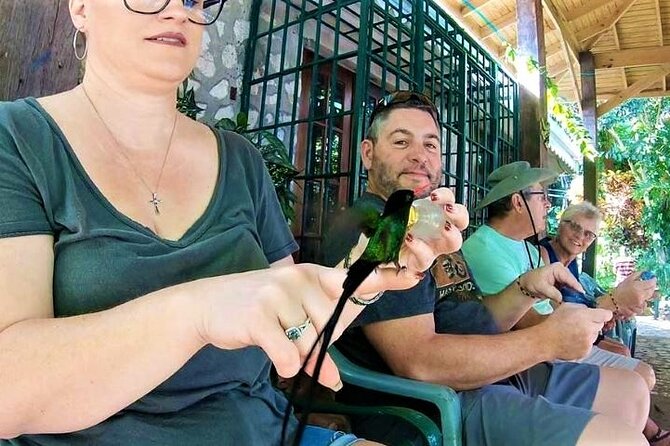 Rocklands Bird Sanctuary and Montego Bay Highlights Tour from Falmouth - Hip Strip Shopping: Souvenirs on Your Own Terms