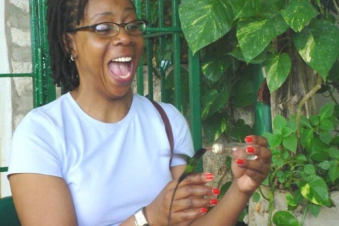 Rocklands Bird Sanctuary & City Highlights plus Shopping from Montego Bay - Key things that make this tour worth your time