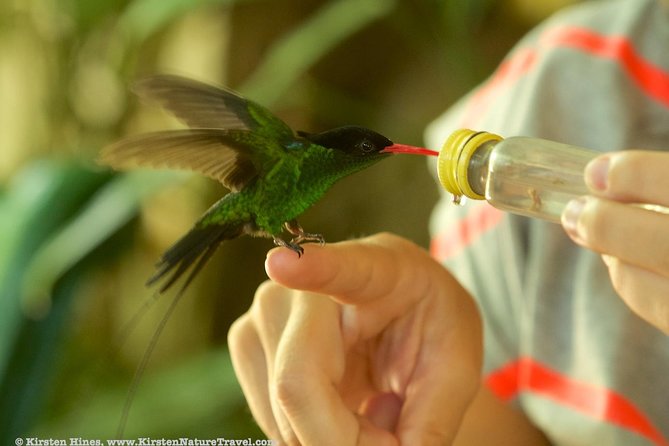 Rocklands Bird Sanctuary & City Highlights plus Shopping from Montego Bay - Sam Sharpe Square and St James Parish Church: classic Montego Bay stops