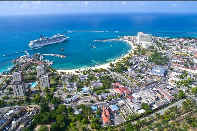 Runaway Bay Transportation Tour Experience - Jamaican Food From Beachside Vendors: Jerk Chicken and Fresh Fish
