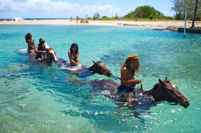 Sand n Saddle Horseback Ride & Swim Tour from Falmouth - The post-ride hangout: cool drinks, orchids, and hummingbirds