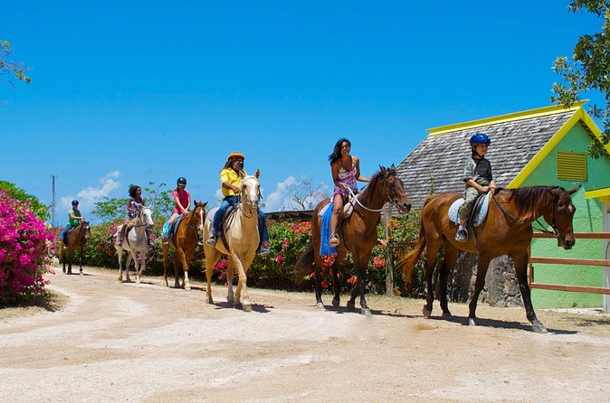 Sand n Saddle Horseback Ride & Swim Tour from Falmouth - Price and value: what $220 buys you in real terms