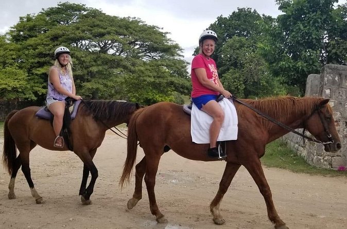 Sand n Saddle Horseback Ride & Swim Tour from Runaway Bay - Lunch and Red Stripe Stop: Optional, but It Fits the Vibe