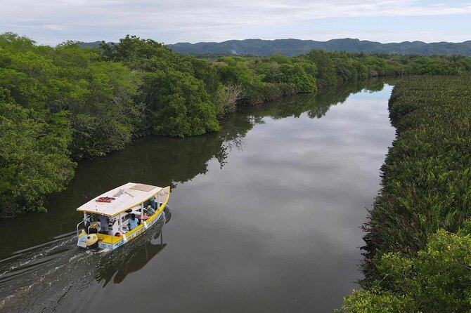 Scenic & Historical Nature Boat Safari Up the Negril River - Key highlights worth your time