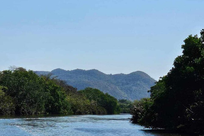 Scenic & Historical Nature Boat Safari Up the Negril River - The Great Morass: why this part of Negril is more than scenery