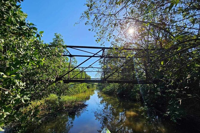 Scenic & Historical Nature Boat Safari Up the Negril River - The flow of the cruise: from Seven Mile Beach to wetlands and back