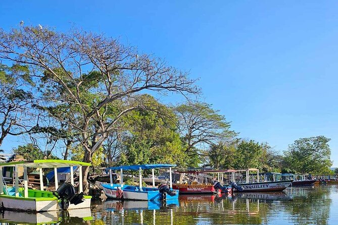 Scenic & Historical Nature Boat Safari Up the Negril River - Crew stories and history that actually connect to what you see